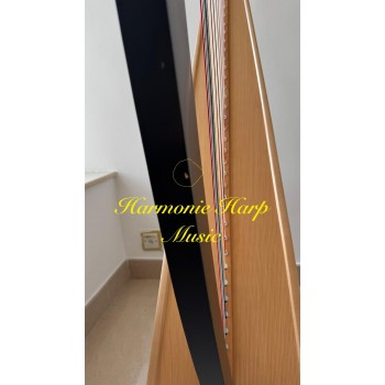 SOLD - 2nd Hand Harp - Lyon & Healy Ogden 34 SOLD - 2nd Hand Harp - Lyon & Healy Ogden 34